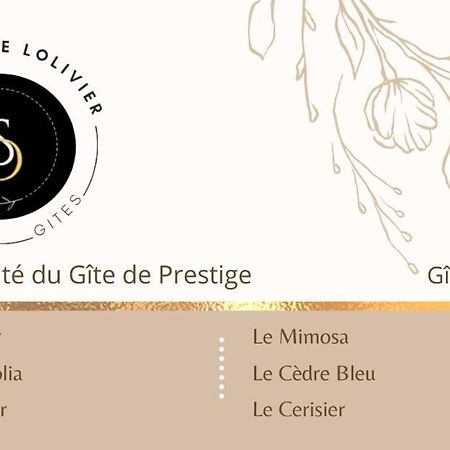 La Salamandre de l Olivier Aubignosc Extérieur photo